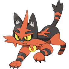 250px-726torracat