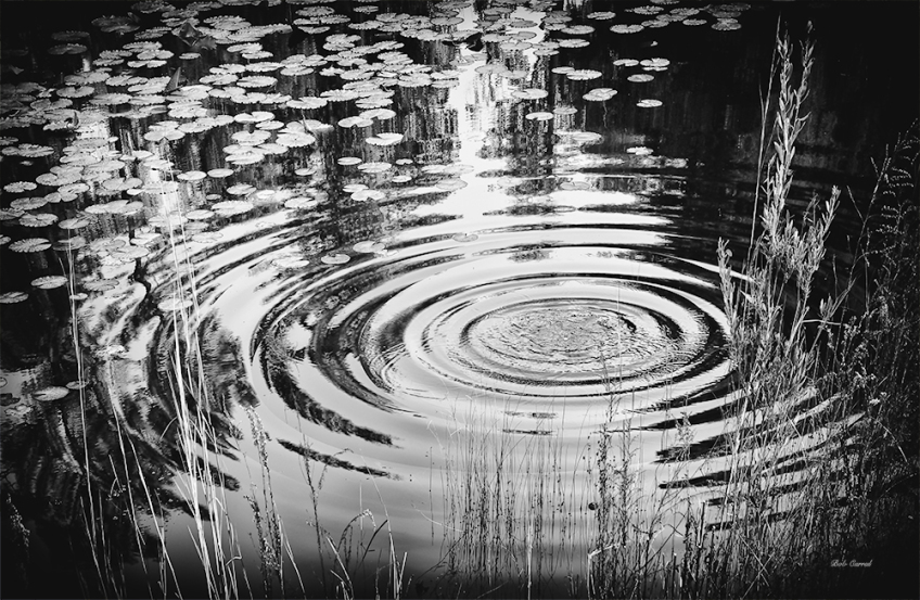 Hard Ripples Ripples – Allen The Writer